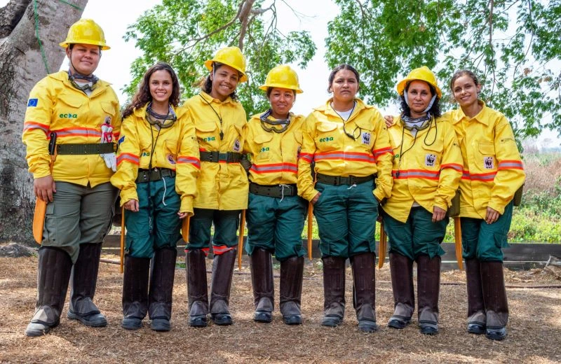 cursos para brigadistas